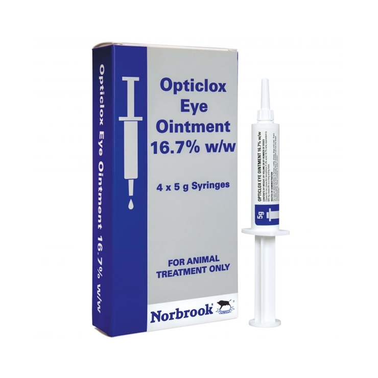 Opticlox Eye Ointment 5g Safari Chemicals